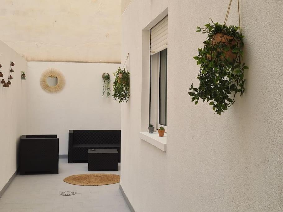 Beautiful Apartment With Patio Torrevieja Zewnętrze zdjęcie