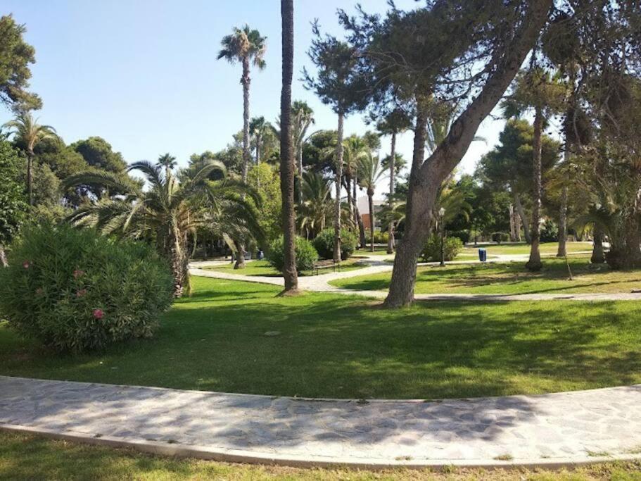 Beautiful Apartment With Patio Torrevieja Zewnętrze zdjęcie