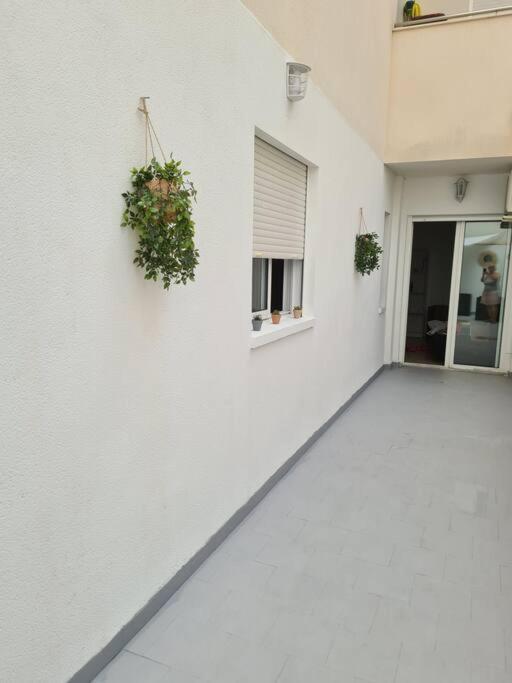 Beautiful Apartment With Patio Torrevieja Zewnętrze zdjęcie